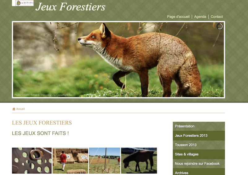 Jeux forestiers 2013