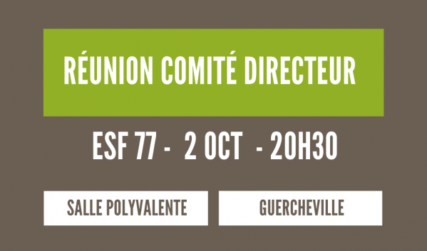 Comite directeur 2