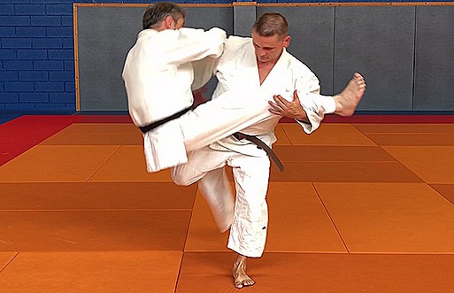 Jujitsu 3