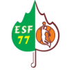 Logo basket