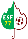 Logo foot